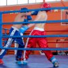 img_27531_dussch_5_kikboxing_chempionat_sudareva_1024x683x86