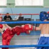 Кубок Иркутской области по кикбоксингу. 24-25 октября 2015