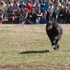 День Победы 2017 в Иркутске. ВПЦ 