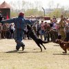 День Победы 2017 в Иркутске. ВПЦ 