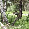 Рейд в тылу противника