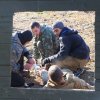 Турнир Честь и мужество 2015