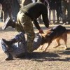 Турнир Честь и мужество 2015