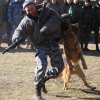 Турнир Честь и мужество 2015