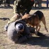 Турнир Честь и мужество 2015