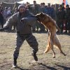 Турнир Честь и мужество 2015