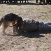 Турнир Честь и мужество 2015