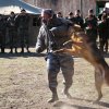Турнир Честь и мужество 2015