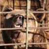 Турнир Честь и мужество 2015