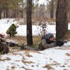 Васильковый берет для ВПЦ 
